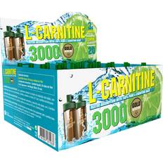 Aminoácidos GoldNutrition L-Carnitine 3000 lemon 10ml 20 pcs