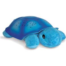 Twilight Turtle
