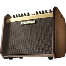 Fishman Loudbox Mini