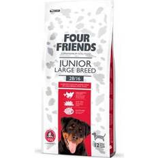 Four friends 12kg Four Friends Junior Large Breed