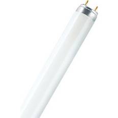 Osram G13 T8 18W/840 Tube fluorescent LUMILUX