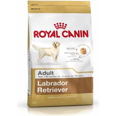 Royal Canin Adult Labrador Retriever