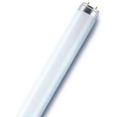 Osram 36w 827 Osram Lumilux T8 Fluorescent Lamp 36W G13 827 1