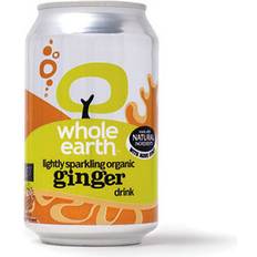 Organic Sparkling Ginger Drink