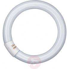 Fluorescentielampen Osram Fluorescent light bulb LUMILUX T9 C 40W, 4000K G10q