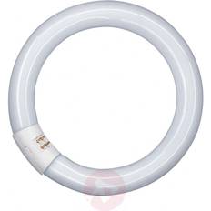 Osram Lumilux T9 C Fluorescent Lamp 22W G10q 865