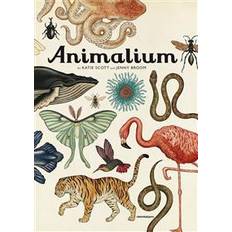 Animalium (Inbunden)