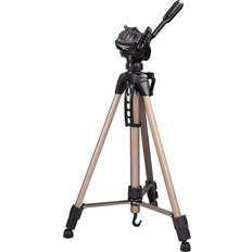 Star 61