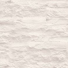 Tapetterminalen Papier peint Wood'N Stone 2 SP04498 Les blancs Les gris