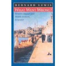 Fiction Historique Livres What Went Wrong? (Relié, 2001)