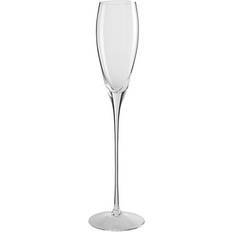 LSA International Bar Champagne Glass 20cl 4pcs