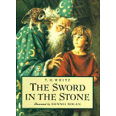 Books sword in the stone (Hardcover, 1993)