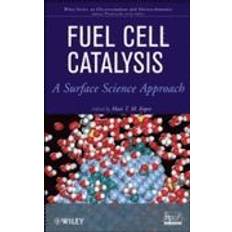 Fuel cell Fuel Cell Catalysis (Indbundet, 2009)