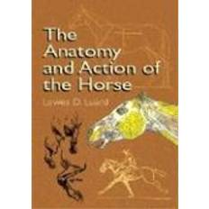 Books The Anatomy and Action of the Horse (Paperback, 2003)