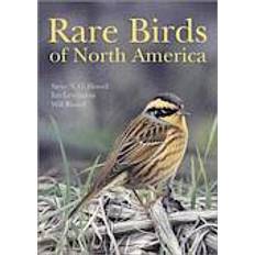 Books Rare Birds of North America (Hardcover, 2014)