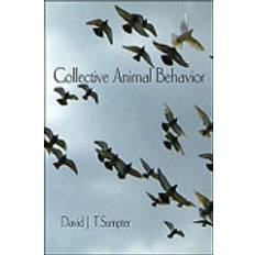 David sumpter Collective Animal Behavior (Häftad, 2010)