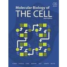 Molecular Biology of the Cell (Häftad, 2014)