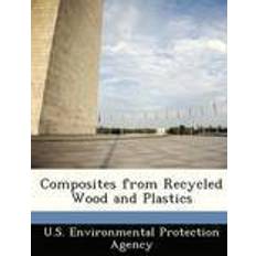 Wood protection Composites from Recycled Wood and Plastics (Häftad, 2012)