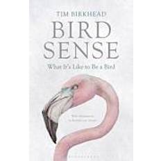 Bird Sense (Häftad, 2013)