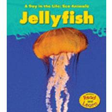 Tiere & Natur Bücher Jellyfish (Geheftet, 2010)