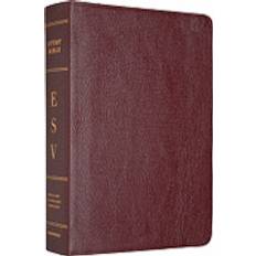 Esv study bible ESV Study Bible (Inbunden, 2008)