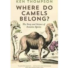 Where Do Camels Belong? (Häftad, 2015)