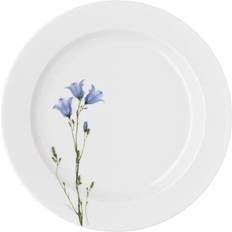 Arzberg Dinner Plates Arzberg Form 1382 Summer Meadow Rim Dinner Plate 22cm