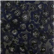 Mimou Windflower Night (WP2416)