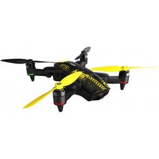 Xplorer Mini