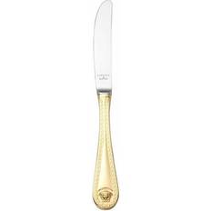 Lavabile a mano Coltelli da tavola Rosenthal Medusa Coltello da tavola 22.5cm