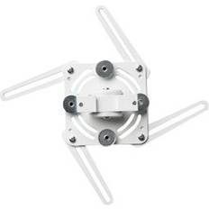 AE016050-P1