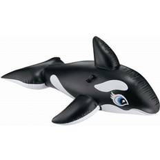 Whale Ride On