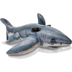 Great Shark Ride On