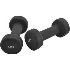 Treningsutstyr InShape Dumbbells Set 2x2.5kg