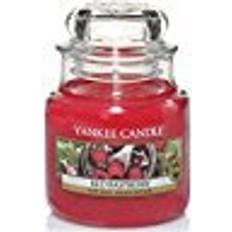 Yankee Candle Raspberry Small Scented Candle 104g