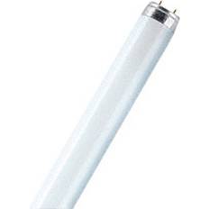 Osram L Fluorescent Lamp 30W G13 827