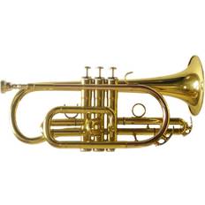 SCR701 Bb
