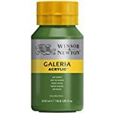 Winsor & Newton Akrylmaling Winsor & Newton Galeria Acrylic Sap Green 500ml