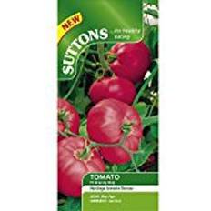 Tomatoes Vegetable Seeds Suttons Tomato Seeds - F1 Brandy Boy 10 Seeds Pack