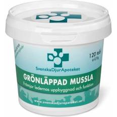 Green Lipped Mussel