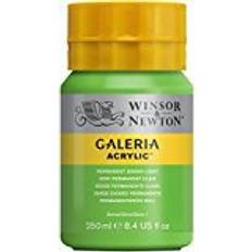 Winsor & Newton Peintures acryliques Winsor & Newton Galeria Acrylic Permanent Green Light 250ml