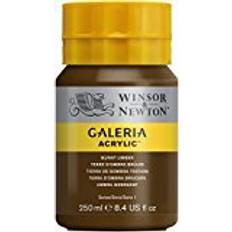 Winsor & Newton Galeria Acrylic Burnt Umber 250ml