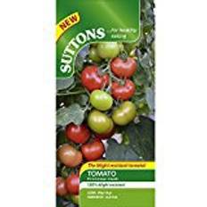 Tomatoes Vegetable Seeds Suttons Tomato Seeds - F1 Crimson Crush 10 Seeds Pack