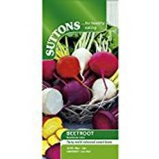 March Vegetable Seeds Suttons Beetroot Seeds - Rainbow Mix 250 Seeds Pack