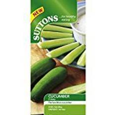 Cucumber Vegetable Seeds Suttons Cucumber Seeds - F1 Baby 6 Seeds Pack