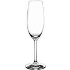 Schott Zwiesel Ivento Champagne Glass 22.8cl 6pcs