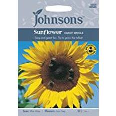 Seeds Johnson's Sunflower Giant Single Mixed 75 pack