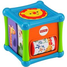 Fisher-Price Animal Activity Cube