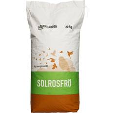 Fågel & Insekter - Torrfoder Husdjur Granngården Solrosfrö 20kg