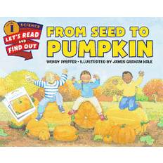 from seed to pumpkin